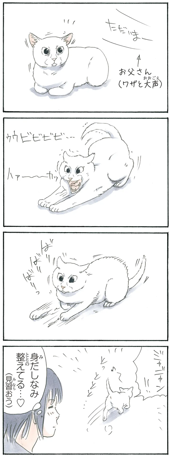 『拾い猫のモチャ3』より