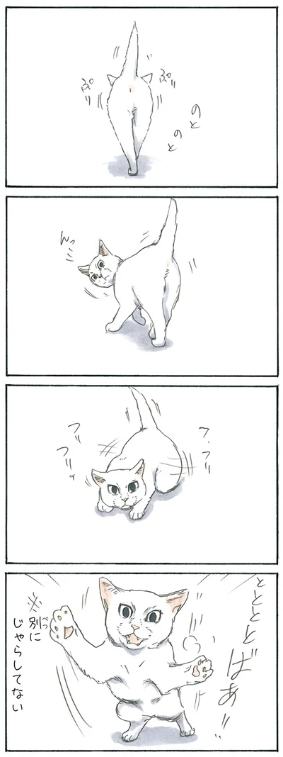 『拾い猫のモチャ3』より