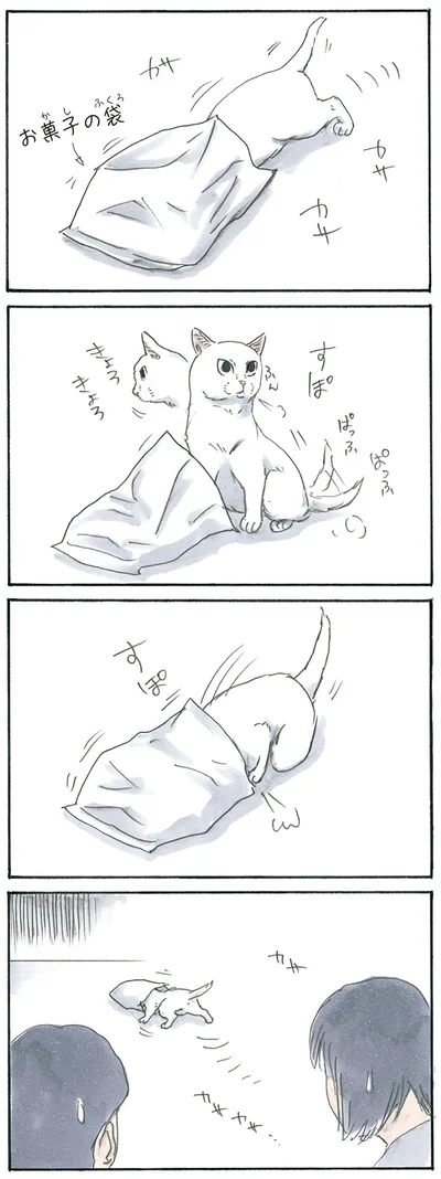 『拾い猫のモチャ3』より