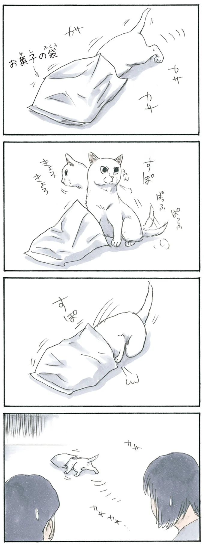 『拾い猫のモチャ3』より