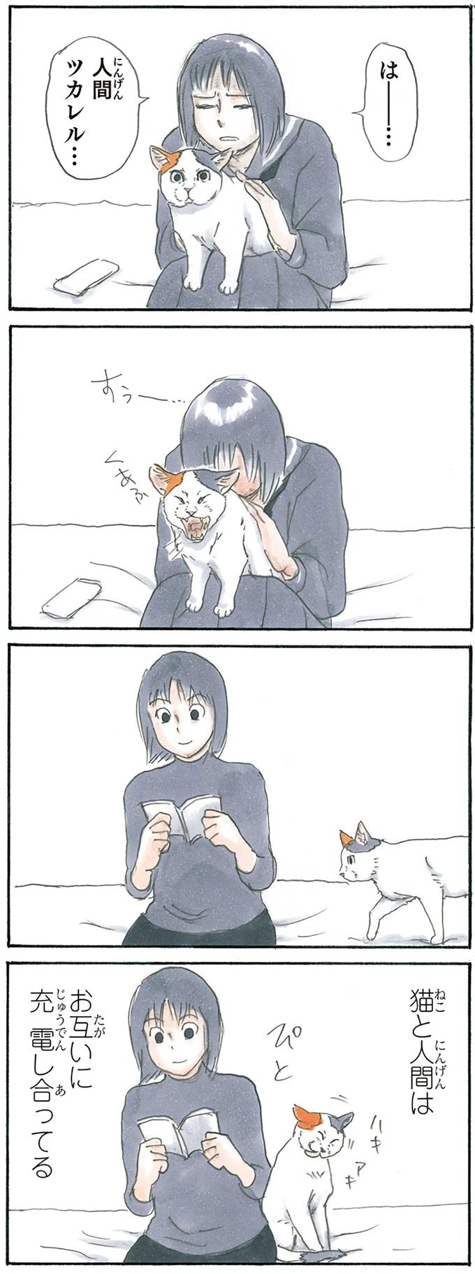 『拾い猫のモチャ3』より