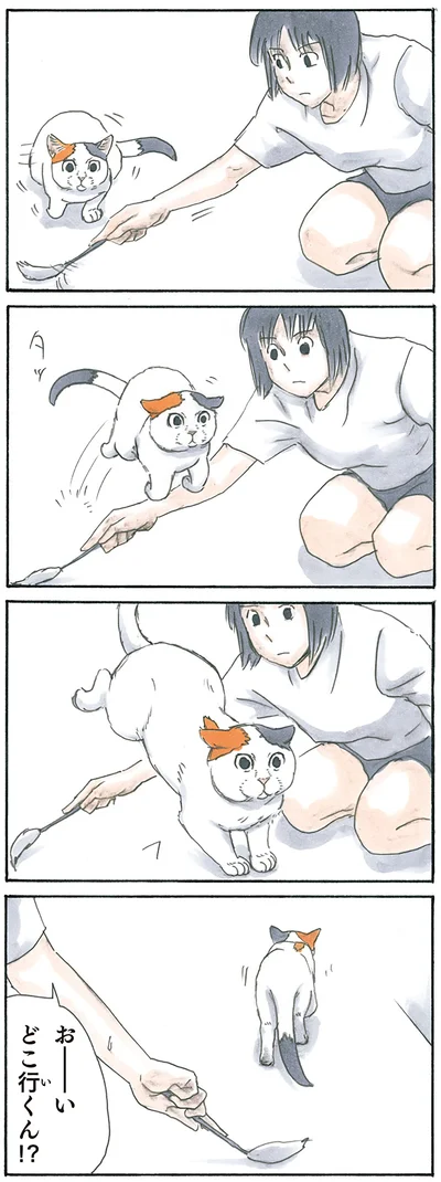 『拾い猫のモチャ3』より