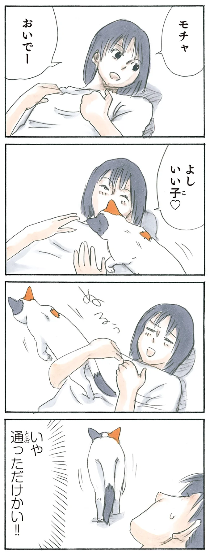 『拾い猫のモチャ3』より