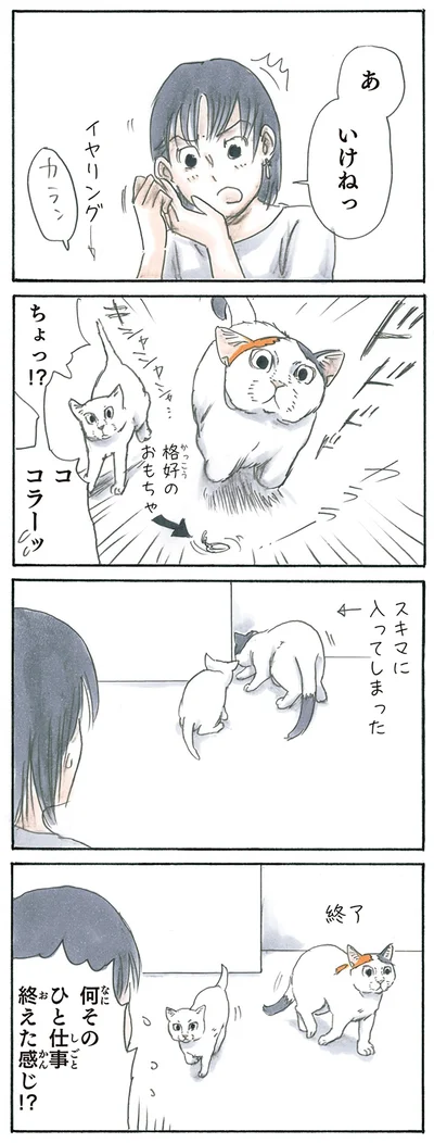 『拾い猫のモチャ3』より