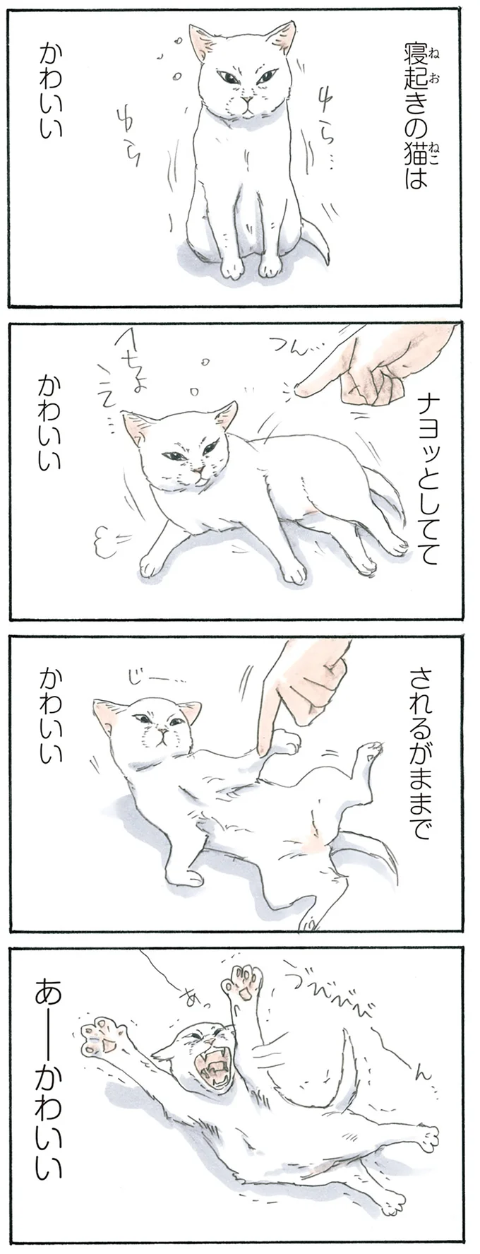 『拾い猫のモチャ3』より