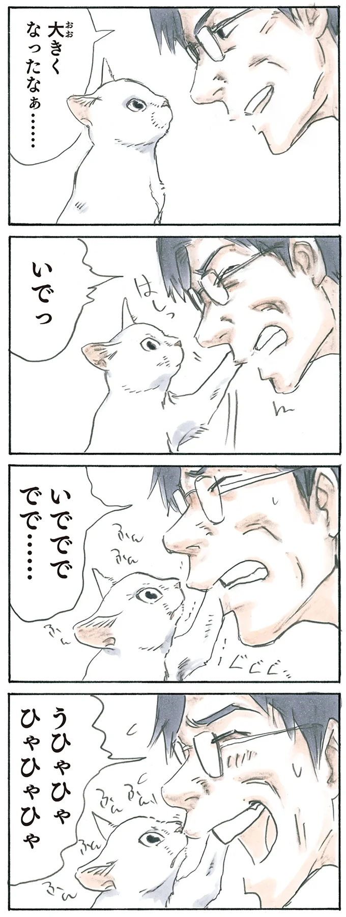 『拾い猫のモチャ3』より