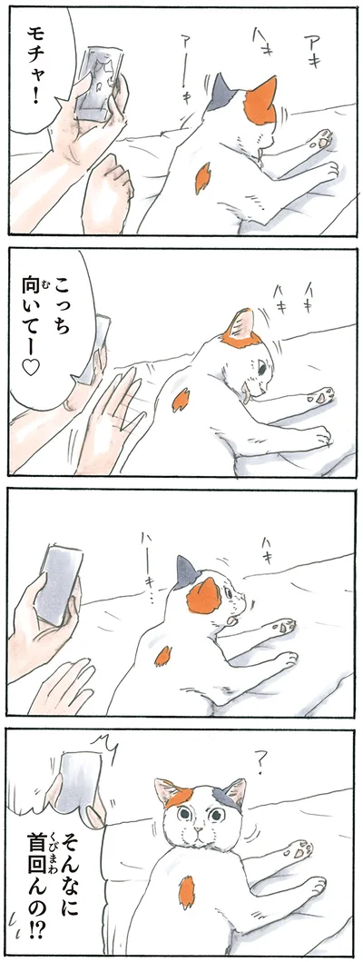 『拾い猫のモチャ3』より