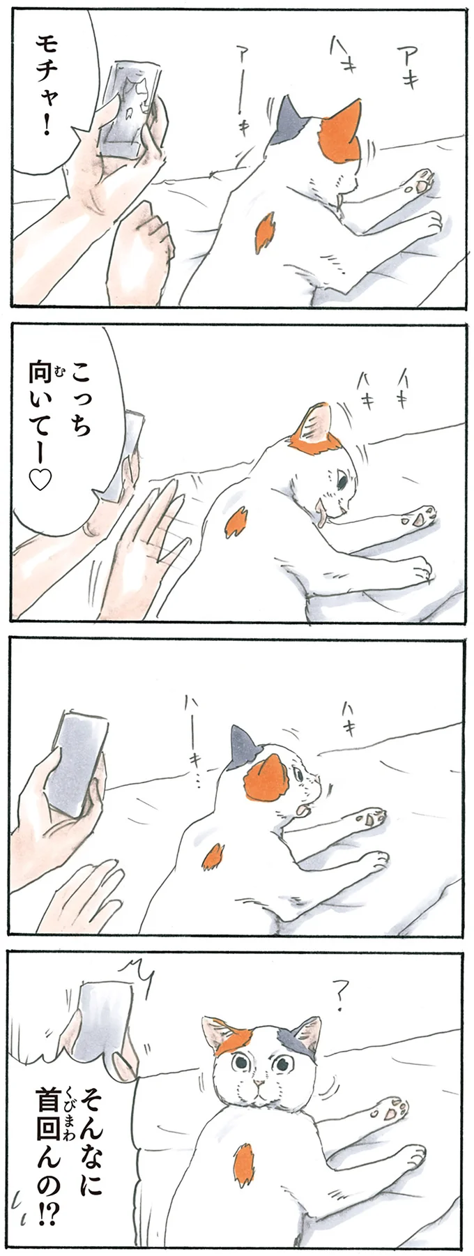 『拾い猫のモチャ3』より