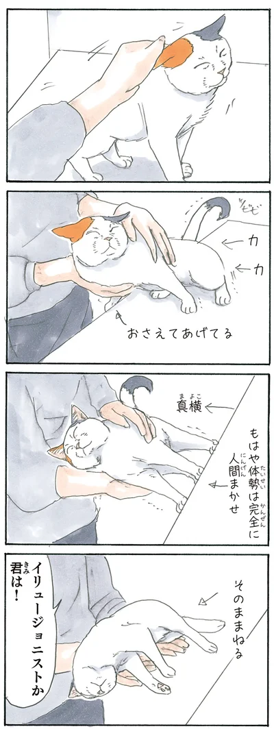 『拾い猫のモチャ3』より