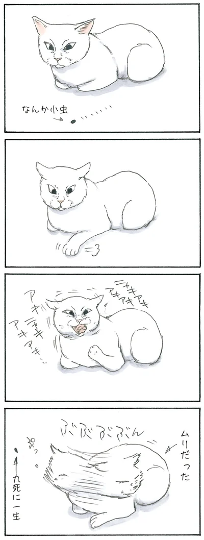 『拾い猫のモチャ3』より