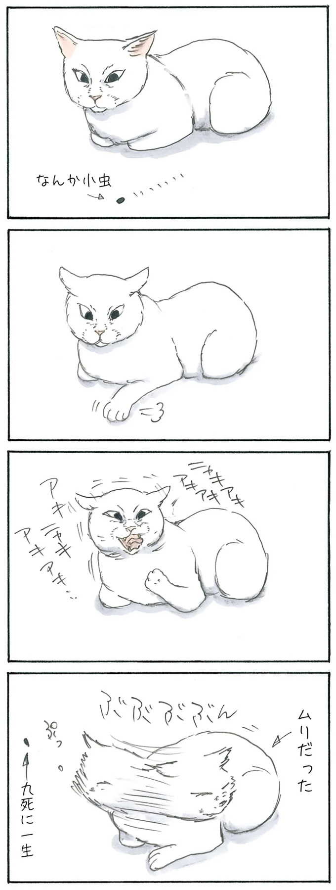 『拾い猫のモチャ3』より