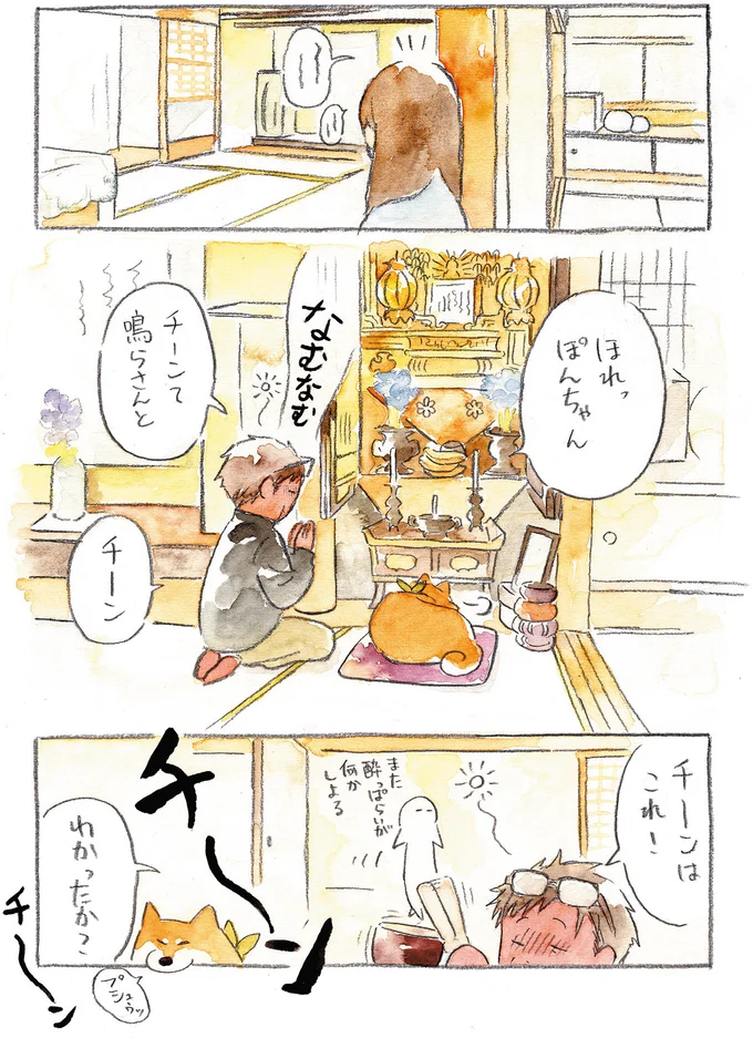 『柴犬ぽんちゃん、今日もわが道を行く』より