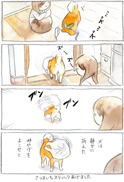 『柴犬ぽんちゃん、今日もわが道を行く』より