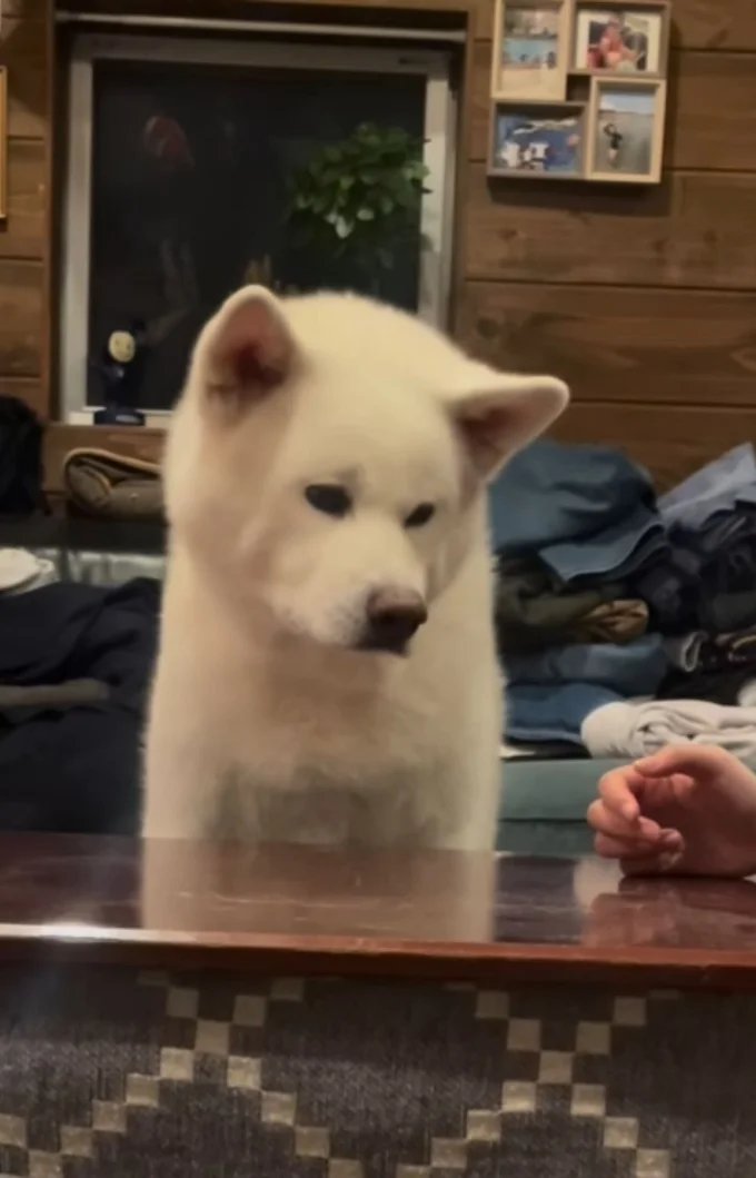 え…もうおしまい?▶ほっこりする表情も…(⇒次へ)