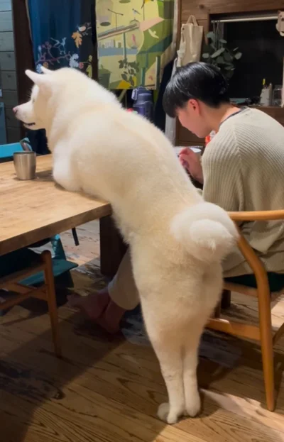 後ろから見ても際立つ美脚▶隣にいたら気になるって！（⇒次へ）