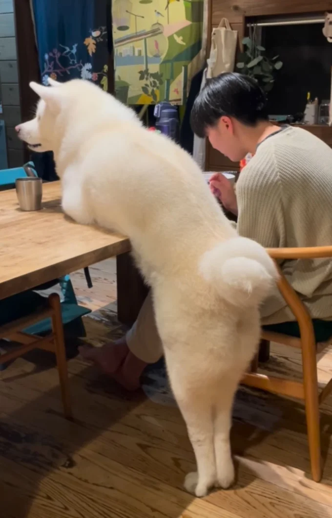 後ろから見ても際立つ美脚▶隣にいたら気になるって!(⇒次へ)