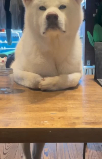 「立っているのは日常です」▶後ろ姿はどうなの！？（⇒次へ）