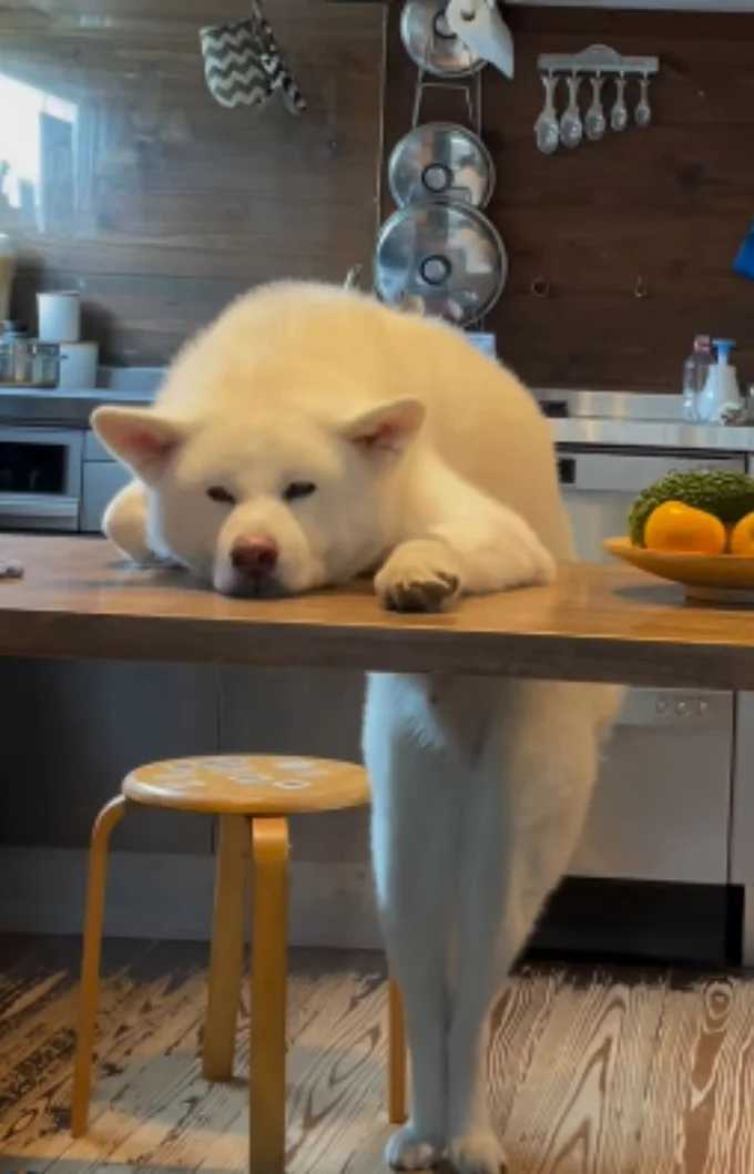 乱れない美脚▶ふだんの様子は?(⇒次へ)