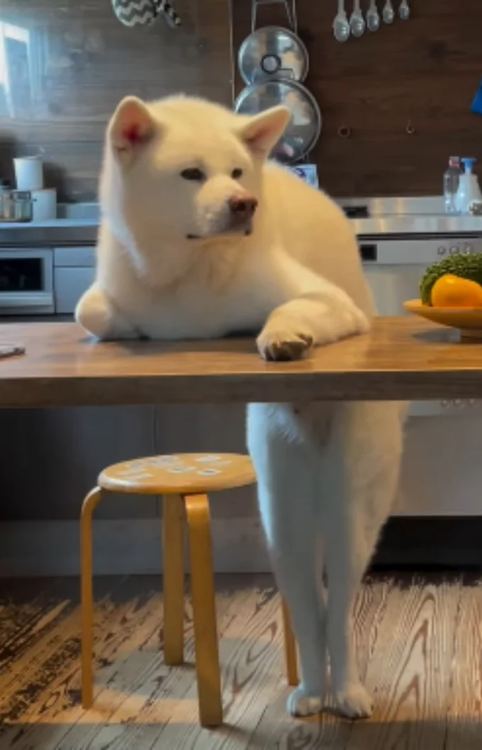 テーブル下の脚が人間のよう…▶姿勢を変えても…!?(⇒次へ)