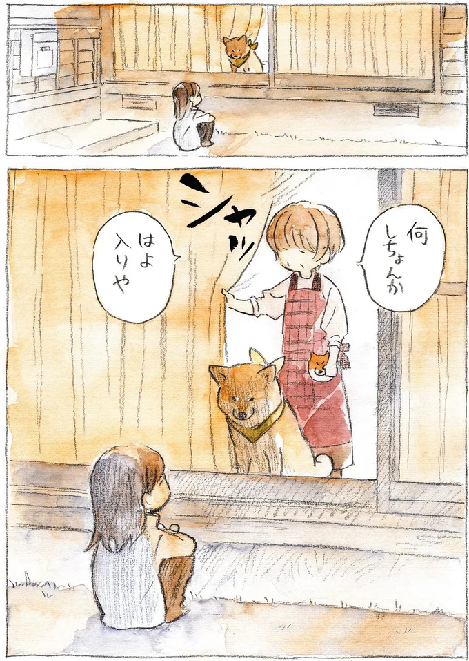 『柴犬ぽんちゃん、今日もわが道を行く』より