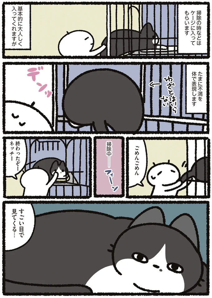 『あっち こっち ネッチ！』より