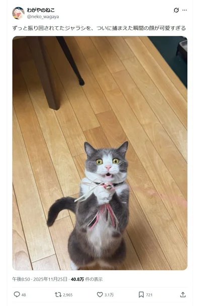 ”ついに捕まえた瞬間”の顔▶本人もビックリ顔！？（⇒次へ）