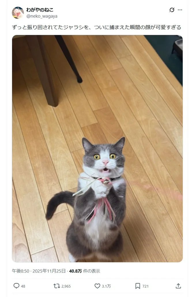 ”ついに捕まえた瞬間”の顔▶本人もビックリ顔!?(⇒次へ)