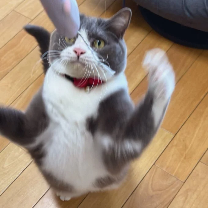 真剣な表情です▶幸せな朝のひととき（⇒次へ）