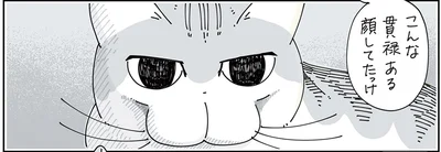 さっきと顔が違う？