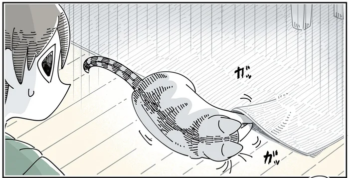 ハガキをカーペットに隠さないで！ 猫の動きを追っていたら失くしものが出てきて