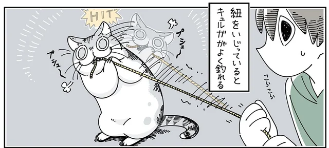 なんの違いがあるんだろう？ 紐に一生懸命になる猫に紐状のおもちゃを買ってきたら