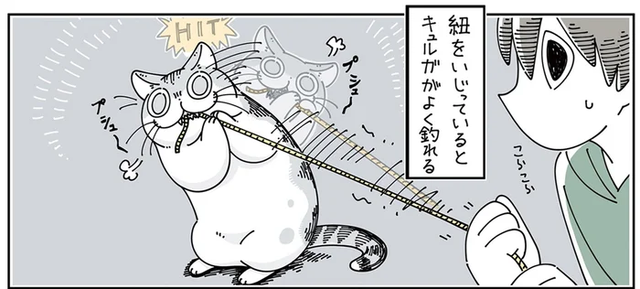 なんの違いがあるんだろう？ 紐に一生懸命になる猫に紐状のおもちゃを買ってきたら