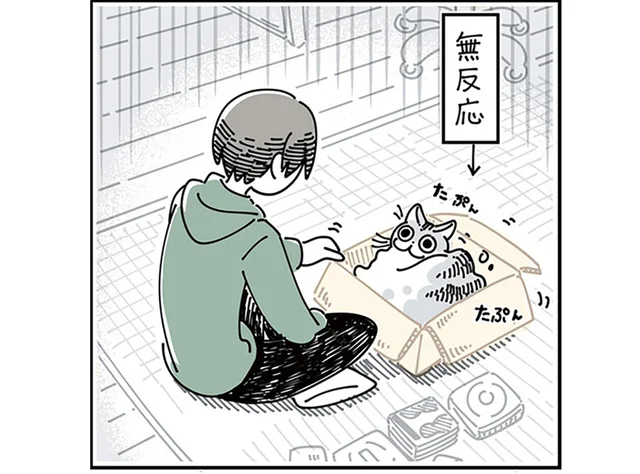 反応したり、しなかったり。猫を構ったときの温度差に驚く飼い主