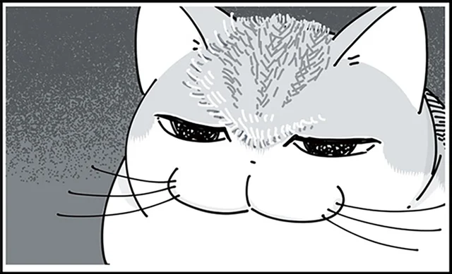 本人はあまり気にしてなさそう。猫の額の毛を逆立ててみたら