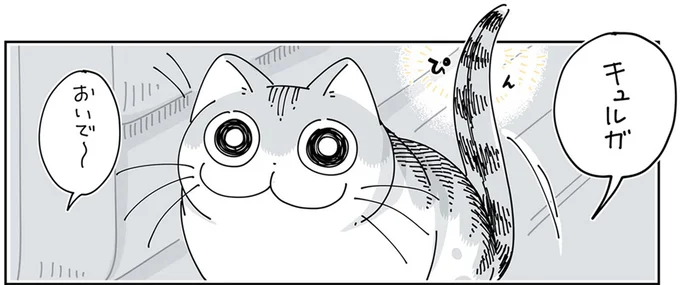 甘えてくるので呼んでみるが