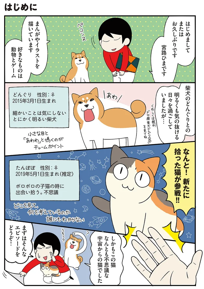 『うちう猫と柴犬』より