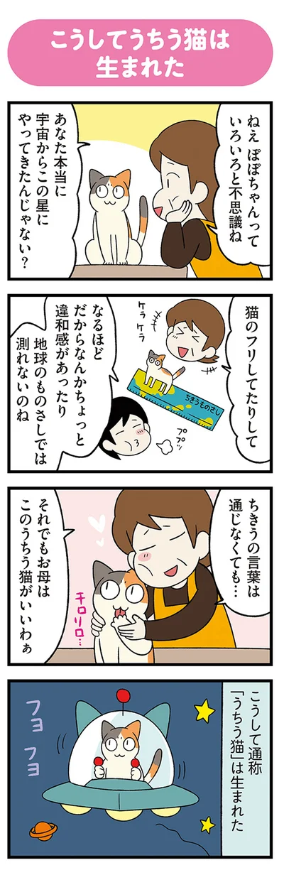 『うちう猫と柴犬』より