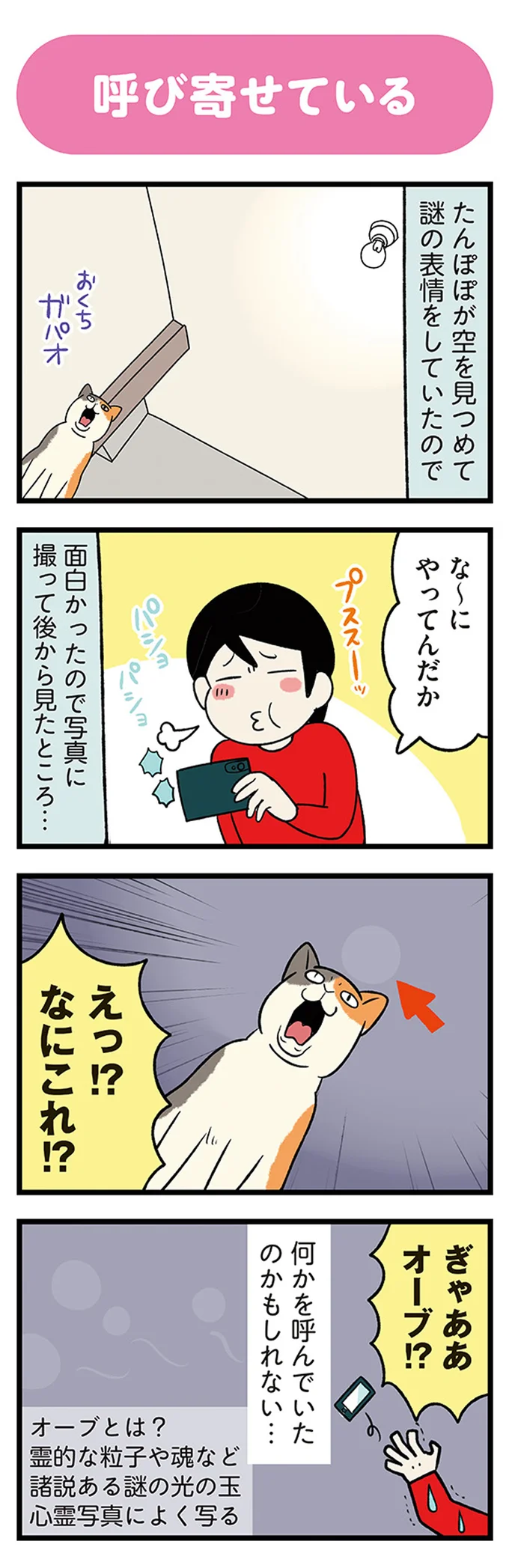 『うちう猫と柴犬』より
