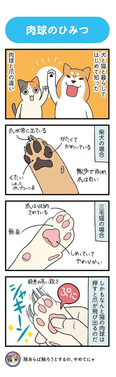 『うちう猫と柴犬』より