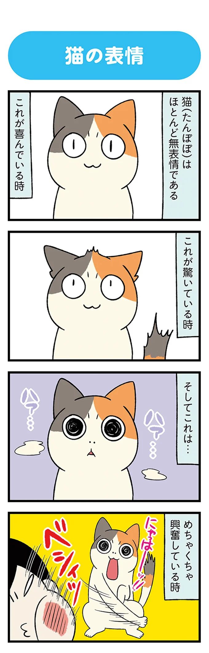 『うちう猫と柴犬』より