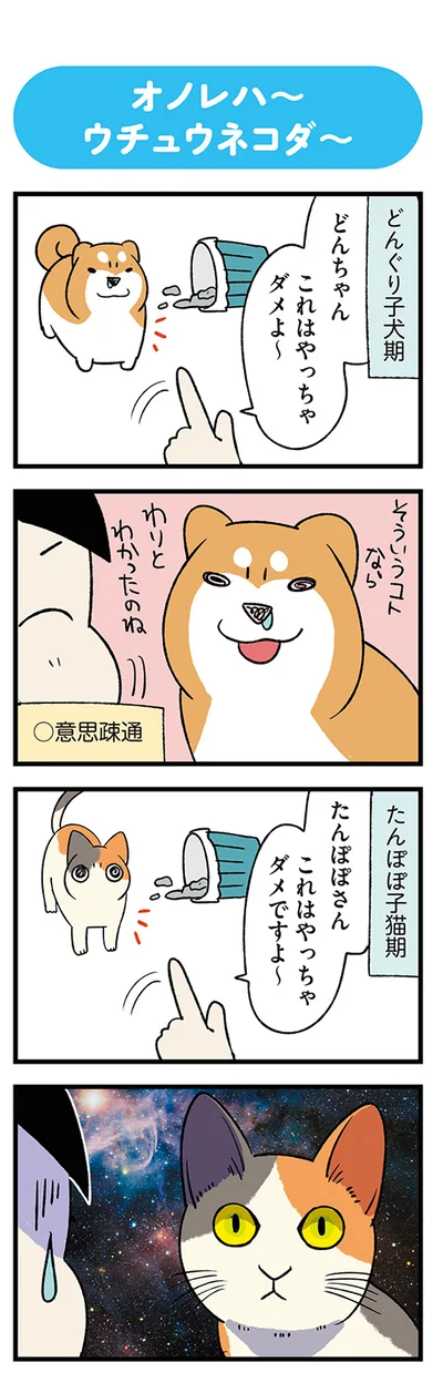 『うちう猫と柴犬』より