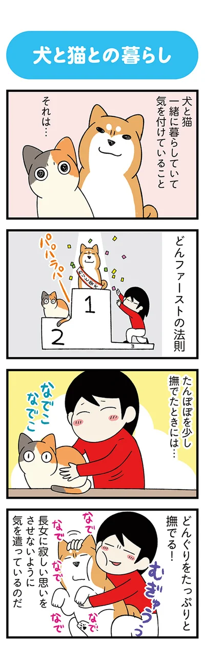 『うちう猫と柴犬』より