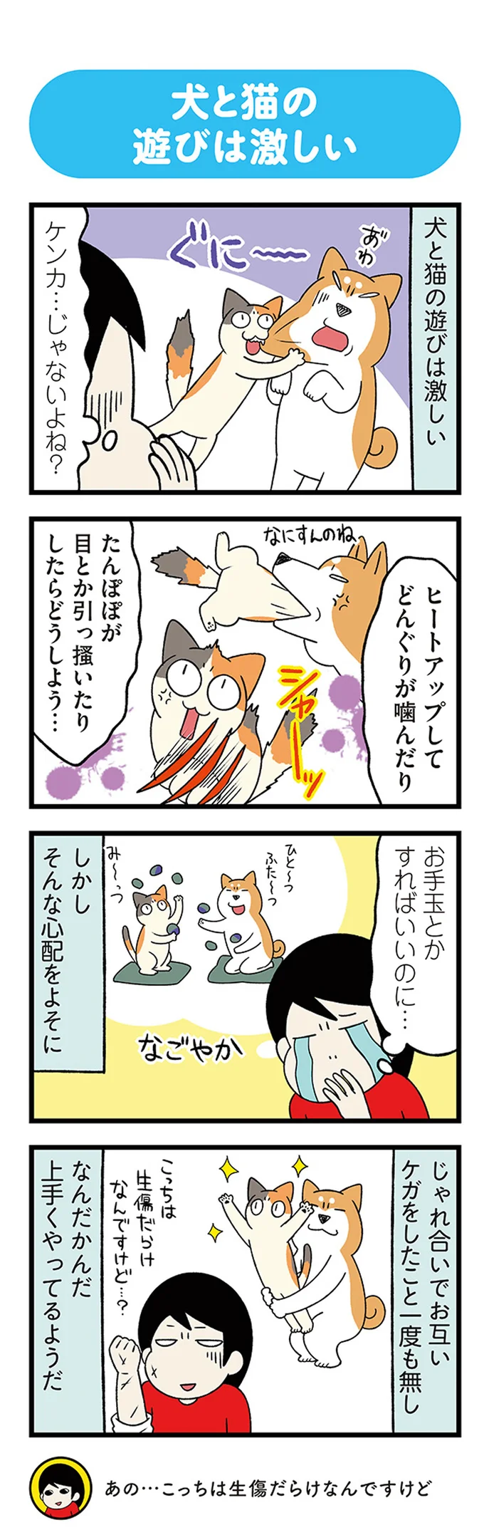 『うちう猫と柴犬』より