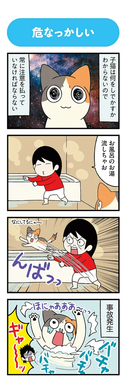 『うちう猫と柴犬』より