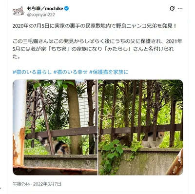 2020年の7月5日のポスト▶警戒している様子です（⇒次へ）