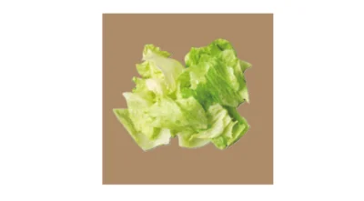 おすすめ食材②レタス