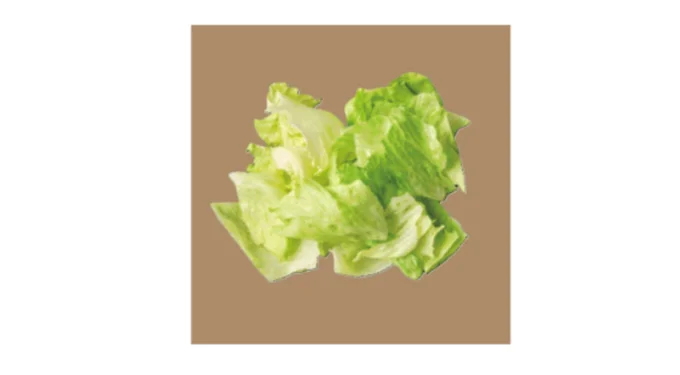 おすすめ食材②レタス