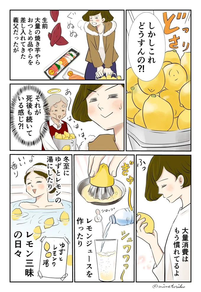 レモン三昧の日々