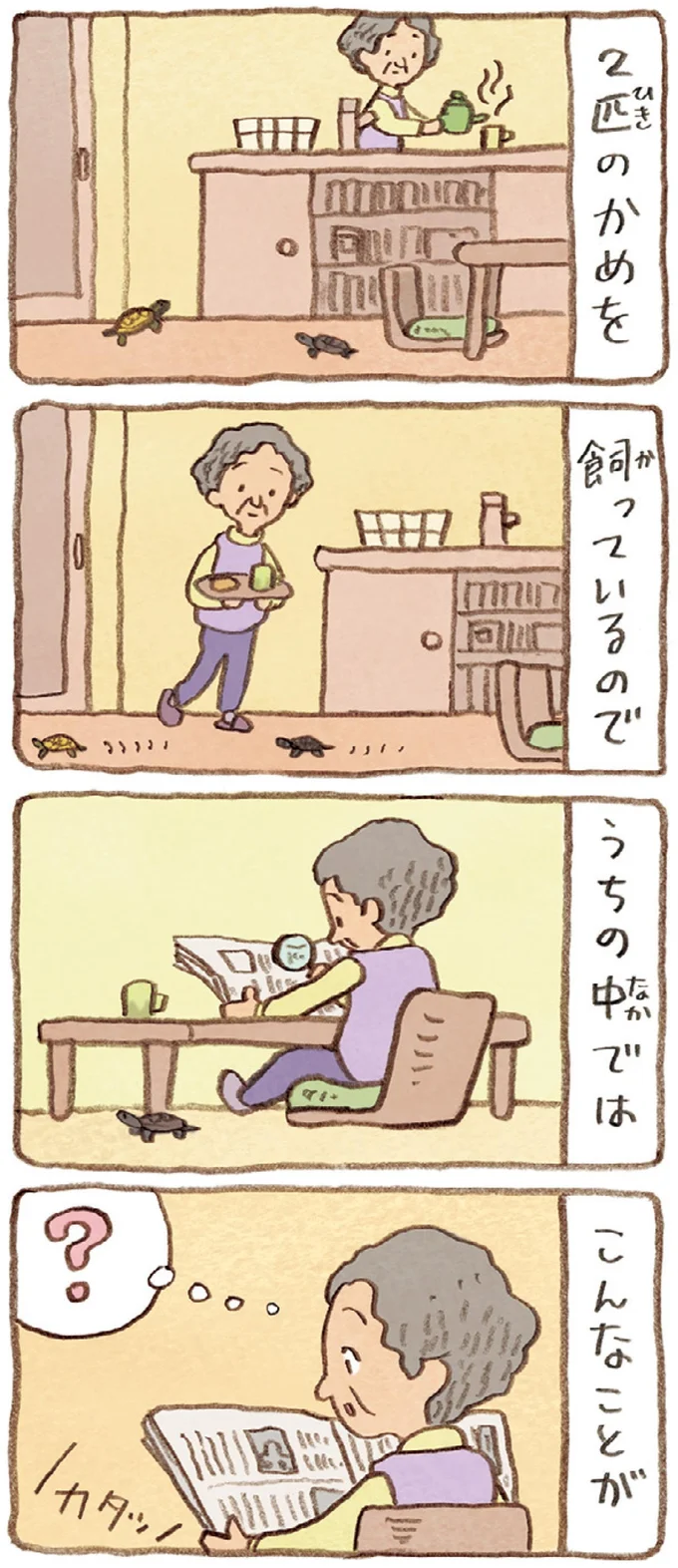 『おばあちゃんとかめ 何げに楽しい2匹とのくらし』より