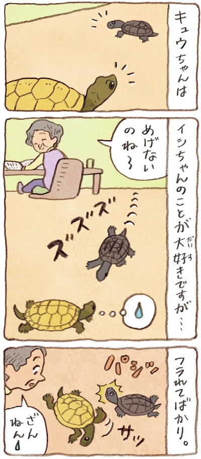 『おばあちゃんとかめ 何げに楽しい2匹とのくらし』より